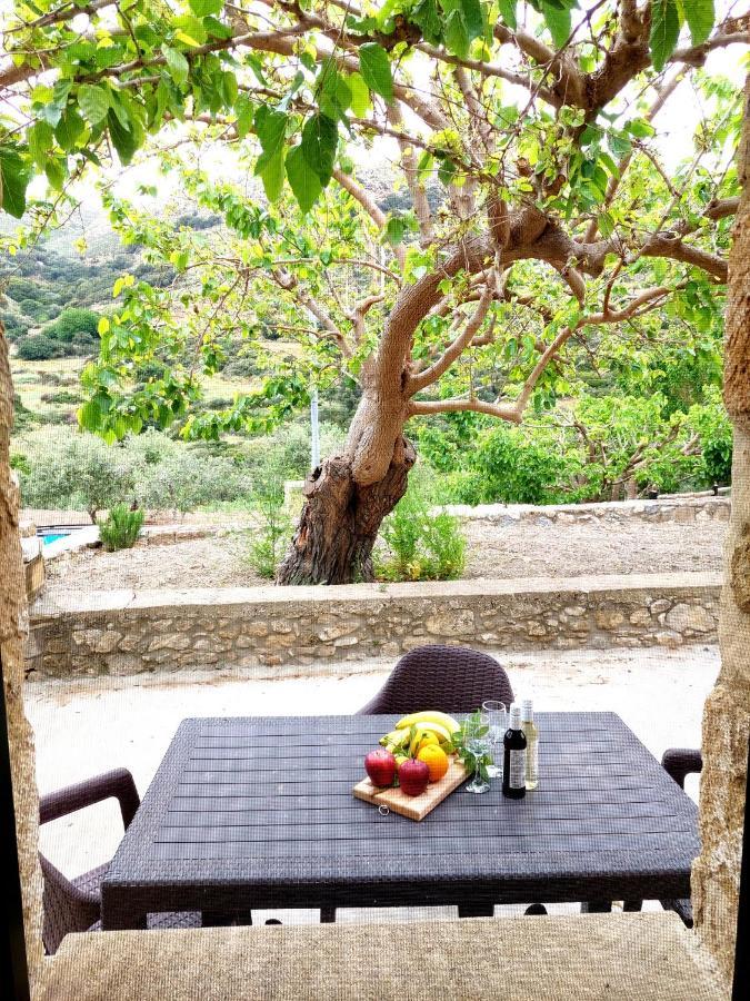 Petrakis Cretan Homes กิสเซมอส ภายนอก รูปภาพ
