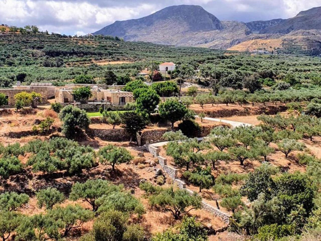 Petrakis Cretan Homes กิสเซมอส ภายนอก รูปภาพ