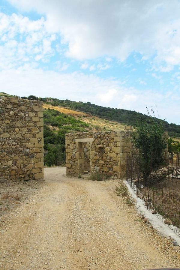 Petrakis Cretan Homes กิสเซมอส ภายนอก รูปภาพ