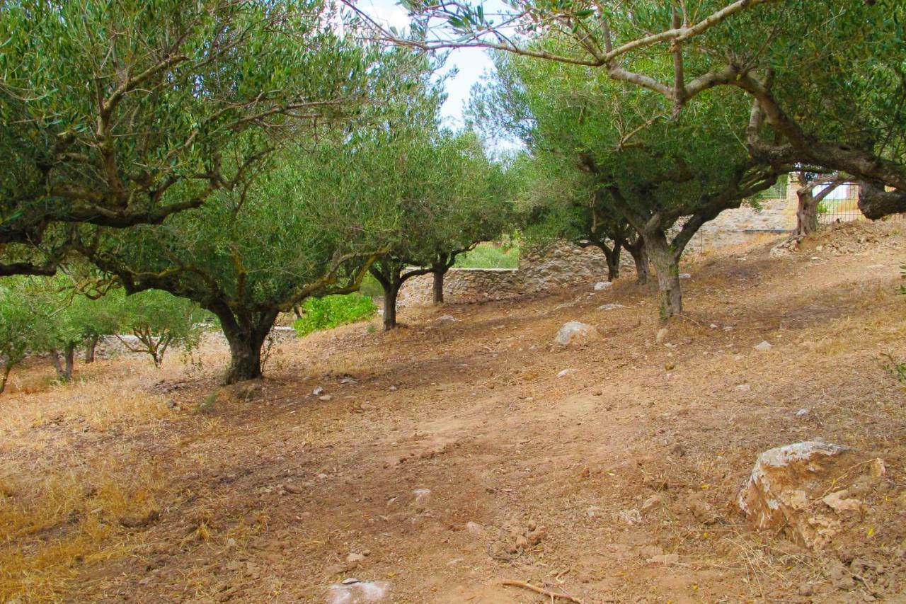 Petrakis Cretan Homes กิสเซมอส ภายนอก รูปภาพ