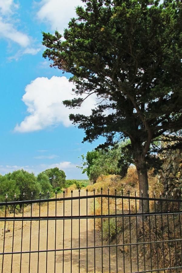 Petrakis Cretan Homes กิสเซมอส ภายนอก รูปภาพ