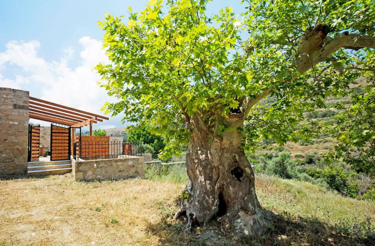 Petrakis Cretan Homes กิสเซมอส ภายนอก รูปภาพ
